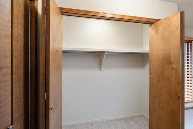 1871 Cherry Hill Ct, Harbor Springs, MI 49740 - view of closet