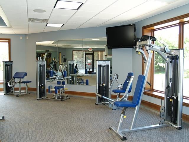 1871 Cherry Hill Ct, Harbor Springs, MI 49740 - exercise room with baseboards, a drop ceiling, and carpet