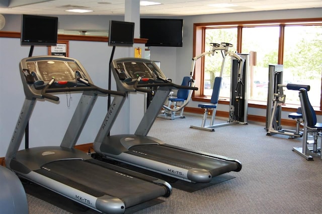 1871 Cherry Hill Ct, Harbor Springs, MI 49740 - gym with baseboards and carpet floors