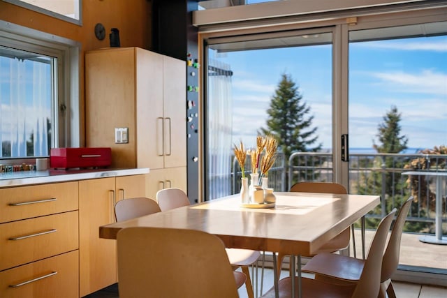 view of dining room
