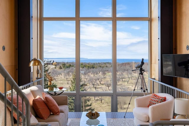 living area featuring a healthy amount of sunlight and a water view