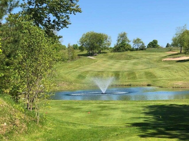 19751995 Clubhouse Dr, Harbor Springs, MI 49740