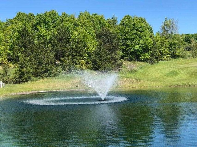 19751995 Clubhouse Dr, Harbor Springs, MI 49740