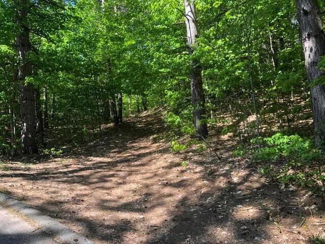 19751995 Clubhouse Dr, Harbor Springs, MI 49740