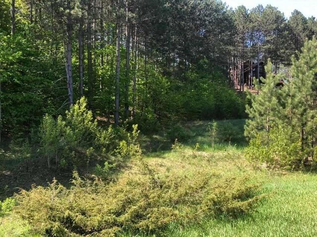 19751995 Clubhouse Dr, Harbor Springs, MI 49740