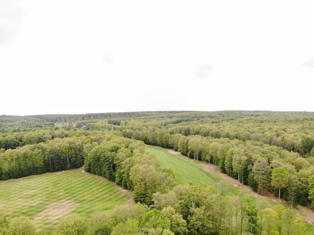 19751995 Clubhouse Dr, Harbor Springs, MI 49740