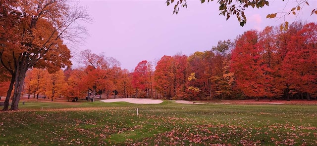 view of home's community featuring a lawn and a forest view