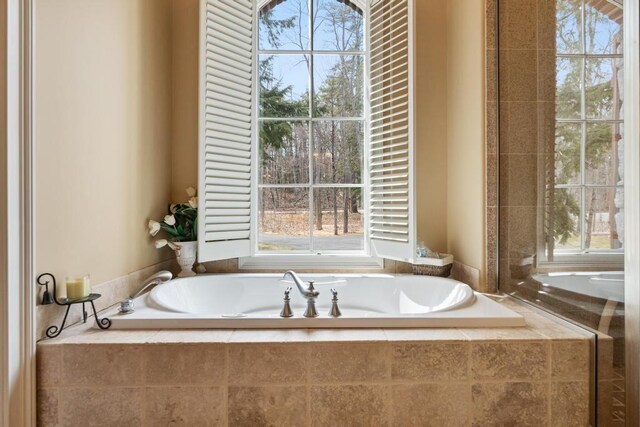 full bath featuring a healthy amount of sunlight and a bath