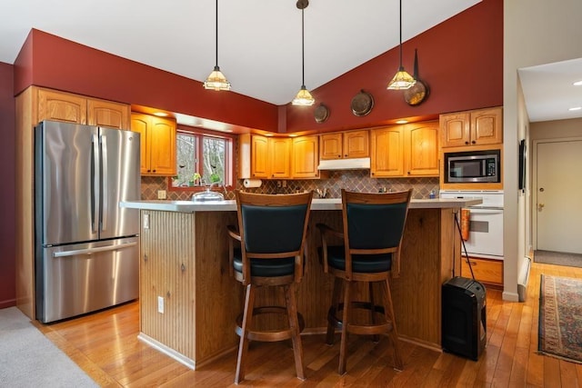 8913 Horseshoe Dr, Harbor Springs, MI 49740 - kitchen with light wood finished floors, under cabinet range hood, stainless steel appliances, decorative backsplash, and decorative light fixtures