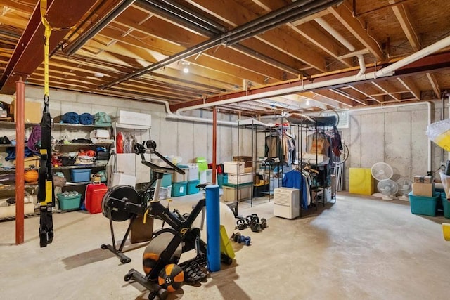 8913 Horseshoe Dr, Harbor Springs, MI 49740 - view of unfinished basement