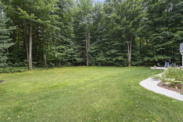 8913 Horseshoe Dr, Harbor Springs, MI 49740 - view of yard featuring a wooded view