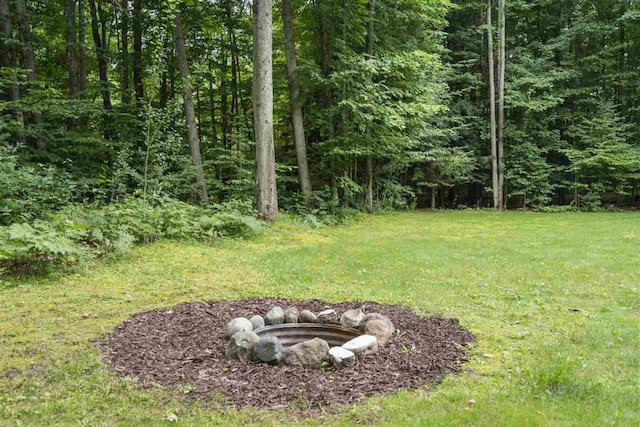 8913 Horseshoe Dr, Harbor Springs, MI 49740 - view of yard featuring a fire pit and a view of trees