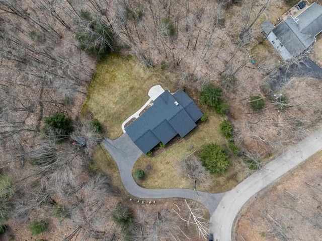 8913 Horseshoe Dr, Harbor Springs, MI 49740 - aerial view