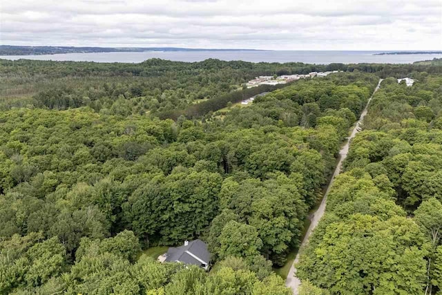 8913 Horseshoe Dr, Harbor Springs, MI 49740 - drone / aerial view featuring a wooded view and a water view