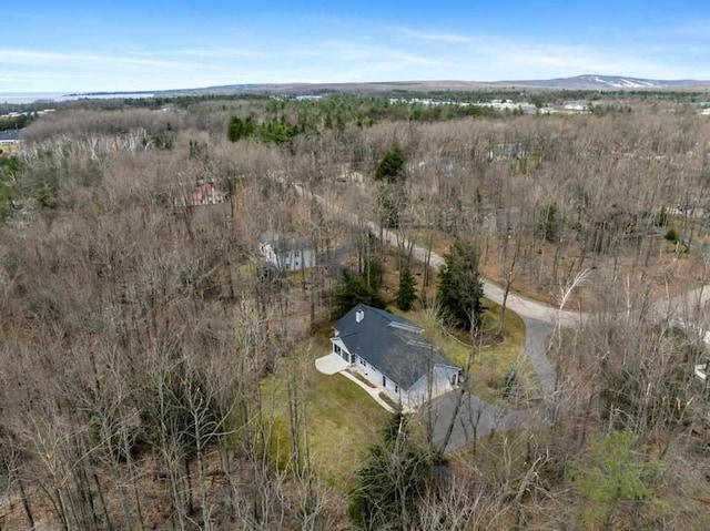 8913 Horseshoe Dr, Harbor Springs, MI 49740 - drone / aerial view