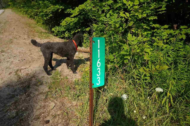 Wildwood Rd, Petoskey, MI 49770