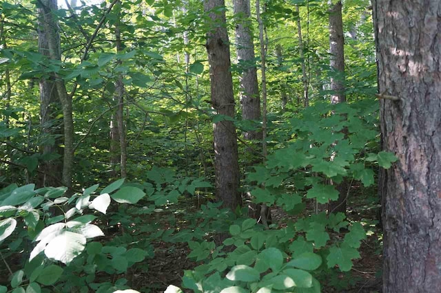 Wildwood Rd, Petoskey, MI 49770