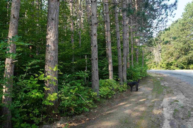 Wildwood Rd, Petoskey, MI 49770