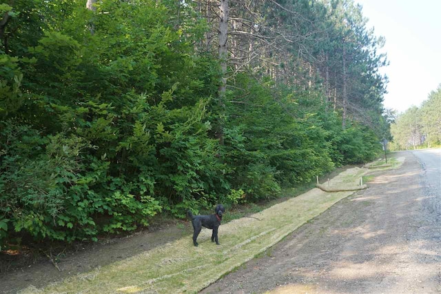 Wildwood Rd, Petoskey, MI 49770