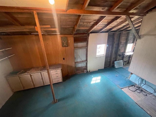 basement featuring wooden walls
