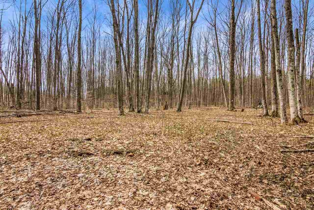 view of landscape with a view of trees