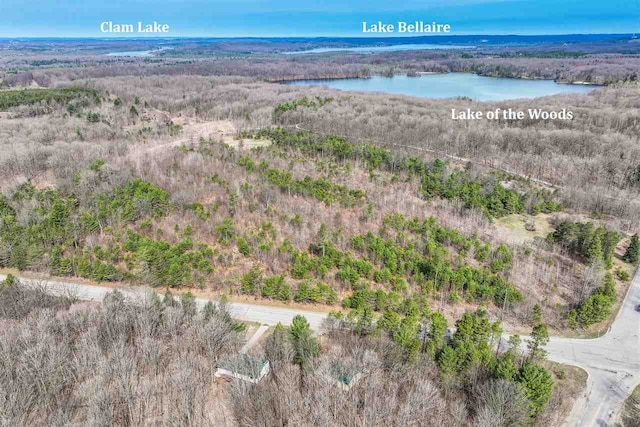 aerial view featuring a water view and a view of trees