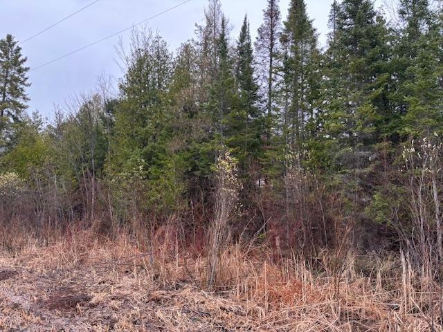 TBD Banwell, Alanson, MI 49706