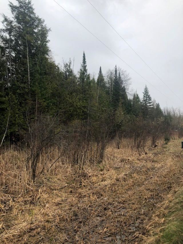 TBD Banwell, Alanson, MI 49706