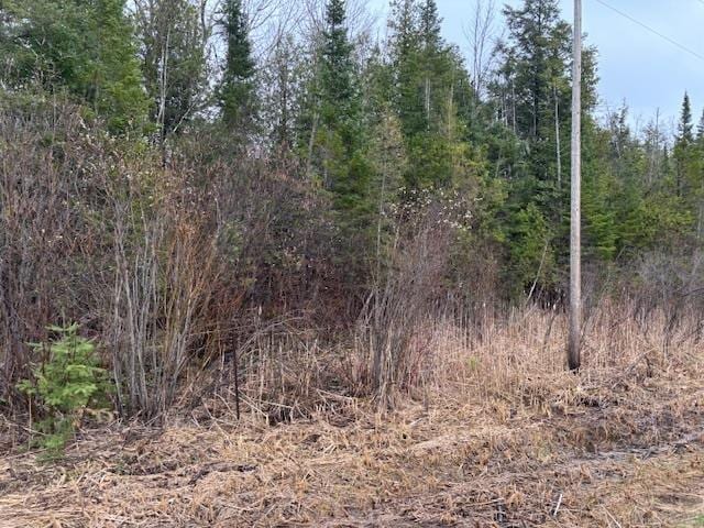 TBD Banwell, Alanson, MI 49706