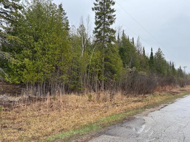 TBD Banwell, Alanson, MI 49706
