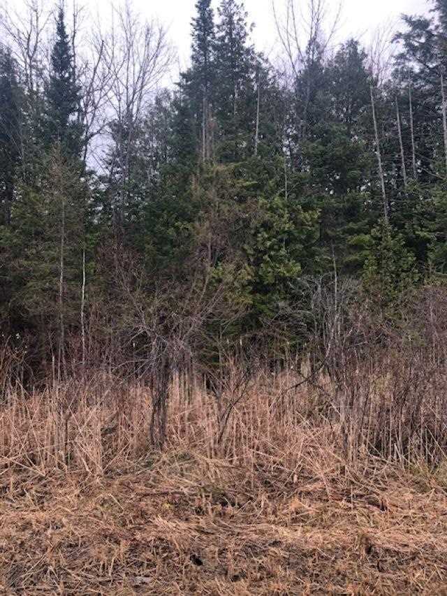 TBD Banwell, Alanson, MI 49706