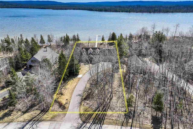 bird's eye view with a water view and a forest view