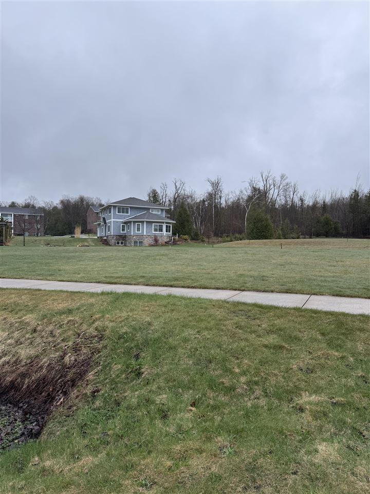 910 Arlington, Petoskey, MI 49770