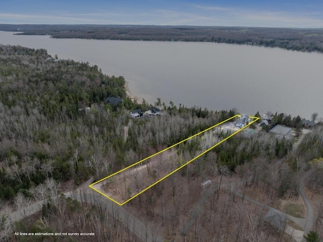 aerial view with a water view and a forest view