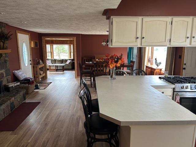 8118 E Mitchell St, Petoskey, MI 49770 - kitchen featuring white cabinets, a breakfast bar, light countertops, stainless steel range with gas cooktop, and wood finished floors