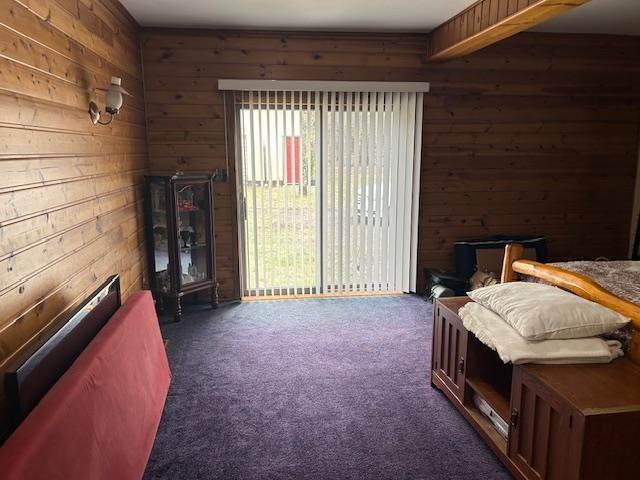8118 E Mitchell St, Petoskey, MI 49770 - carpeted bedroom featuring wooden walls and access to outside