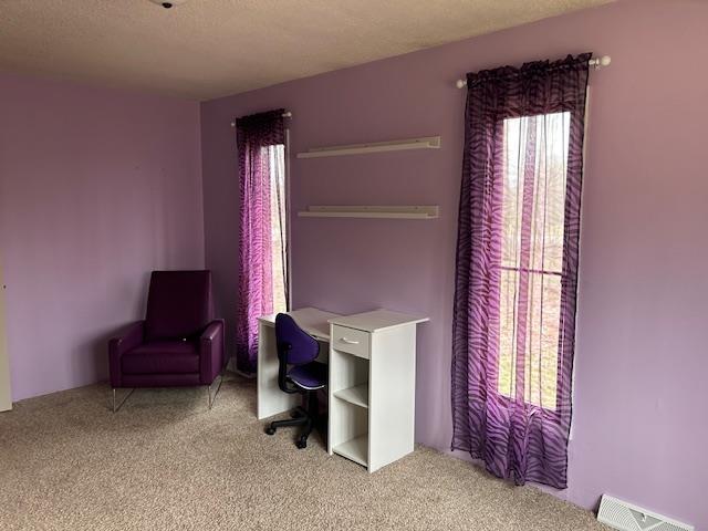 8118 E Mitchell St, Petoskey, MI 49770 - office space featuring light colored carpet and a wealth of natural light