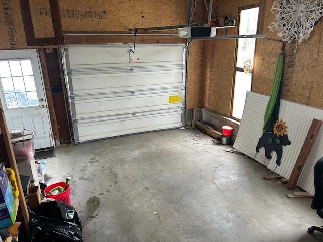 8118 E Mitchell St, Petoskey, MI 49770 - garage with a garage door opener