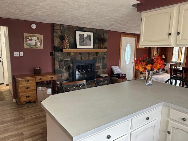 8118 E Mitchell St, Petoskey, MI 49770 - kitchen featuring a fireplace, light countertops, a textured ceiling, white cabinetry, and wood finished floors