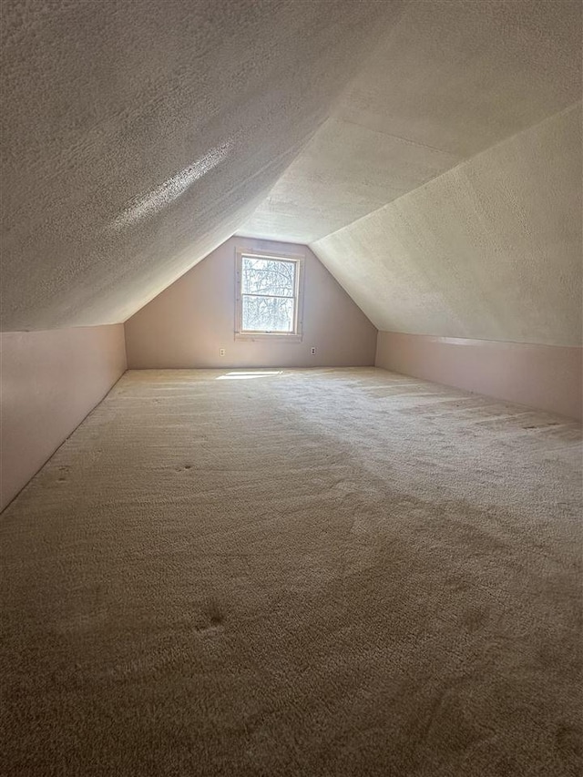 4445 Howard Rd, Petoskey, MI 49770 - bonus room featuring a textured ceiling, lofted ceiling, and carpet floors