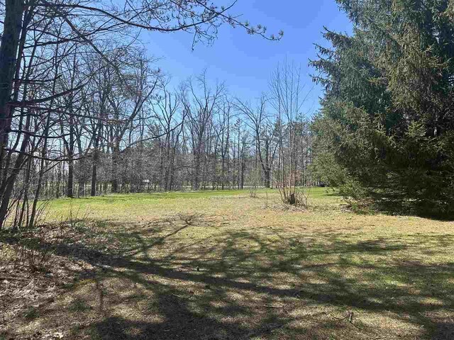 4445 Howard Rd, Petoskey, MI 49770 - view of landscape with a wooded view