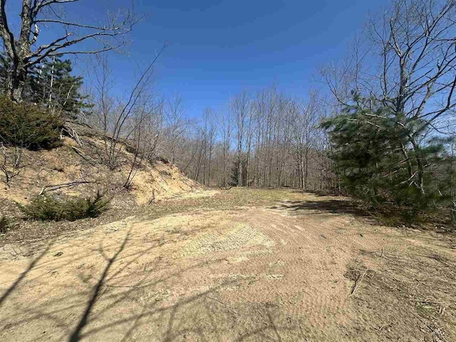 4445 Howard Rd, Petoskey, MI 49770 - view of local wilderness