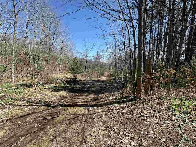 4445 Howard Rd, Petoskey, MI 49770 - view of local wilderness featuring a forest view