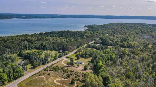 7906 Ferry Rd, East Jordan, MI 49727 - drone / aerial view featuring a water view and a view of trees