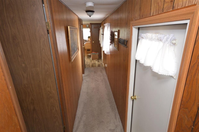 corridor featuring wooden walls and carpet