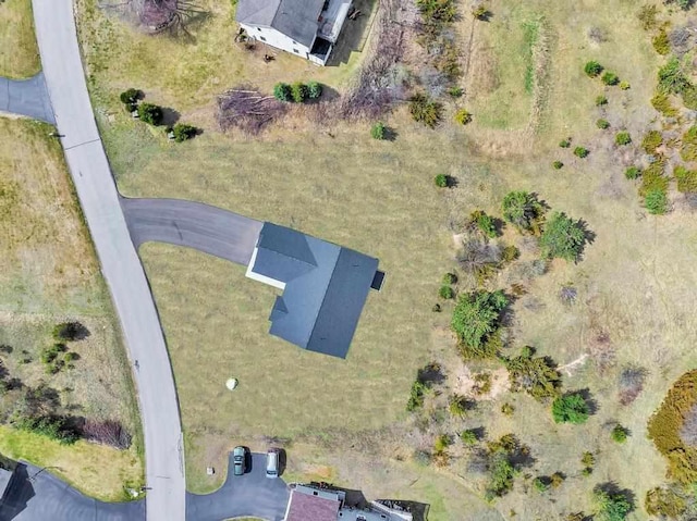 358 Harbor View Ln, Petoskey, MI 49770 - birds eye view of property