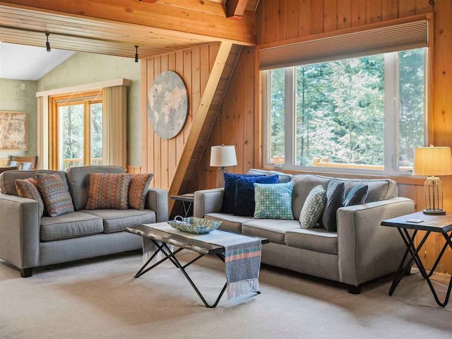 4488 Fourth St, Walloon Lake, MI 49796 - living area with wood walls, a wealth of natural light, carpet flooring, and vaulted ceiling with beams
