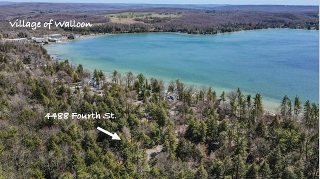 4488 Fourth St, Walloon Lake, MI 49796 - bird's eye view with a wooded view and a water view