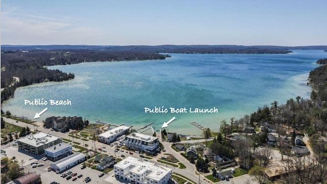 4488 Fourth St, Walloon Lake, MI 49796 - bird's eye view featuring a water view