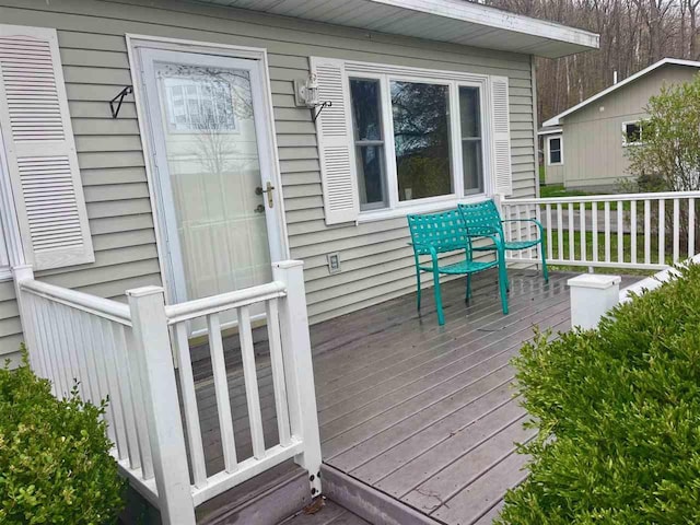 1368 S M-88, Bellaire, MI 49615 - view of deck